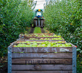 DELICIOUS, DELIVERED MEALS MADE WITH QUALITY INGREDIENTS