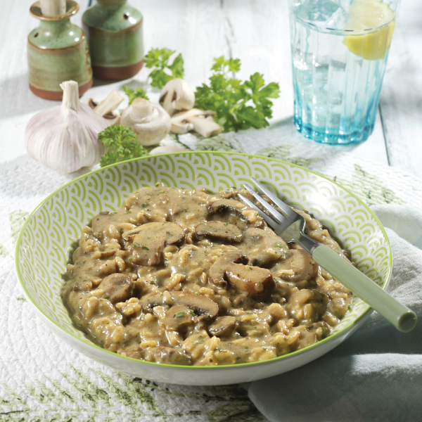 Image of Vegetarian meal type